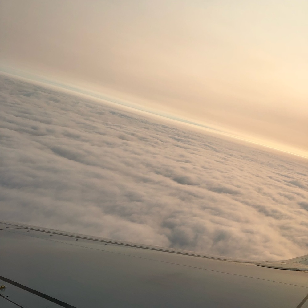 Meet your Posher, Vivictoria